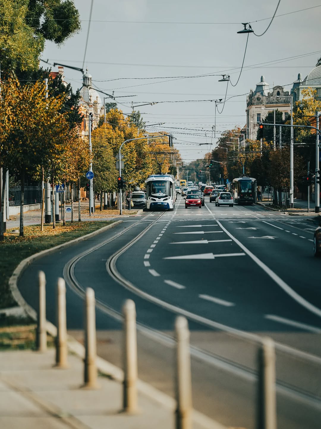 It's coming 🚈
.
Sony α7R III + Sigma 135mm F1.4 DG Art
135mm - 1/5000s - f/1.4 - ISO 100
. 
#sigmaadria #sigmaphoto #sigma135mmf14dgart #sigma135mmf14art #sigma135mmart #sigma135mmf14 #sigma135mm #sonyalpha #sonyalpha7riii #alpha7r3 #sonyhrvatska #tram #street #streetphotography #traffic #trees #buildings #Osijek #osijekfulloflife #VisitOsijek #VisitCroatia #istokuobjektivu
