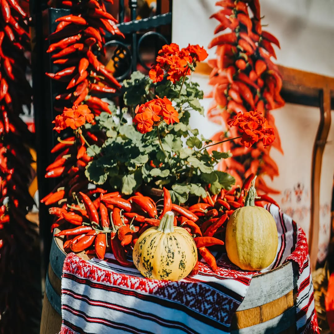 Kinda red 🌶️
.
Sony α7R III + Sigma 35mm F1.2 DG II Art
35mm - 1/8000s - f/1.2 - ISO 100
. 
#sigmaadria #sigma35mmf12dgiiart #sonyalpha7riii #paprikafest #istokuobjektivu